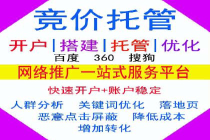 成功案例揭秘：sem代运营公司的策略与技巧